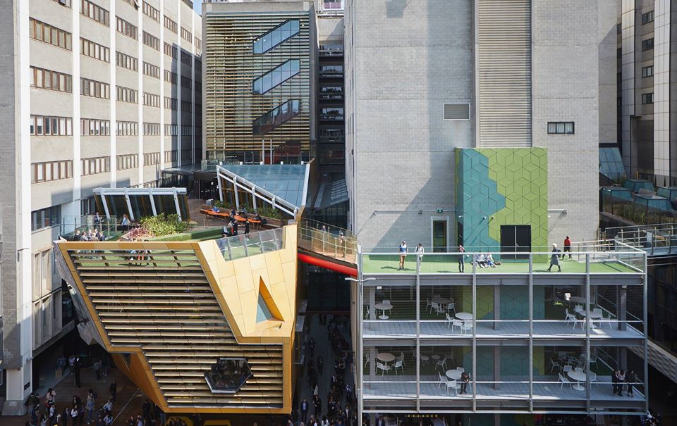 RMIT University