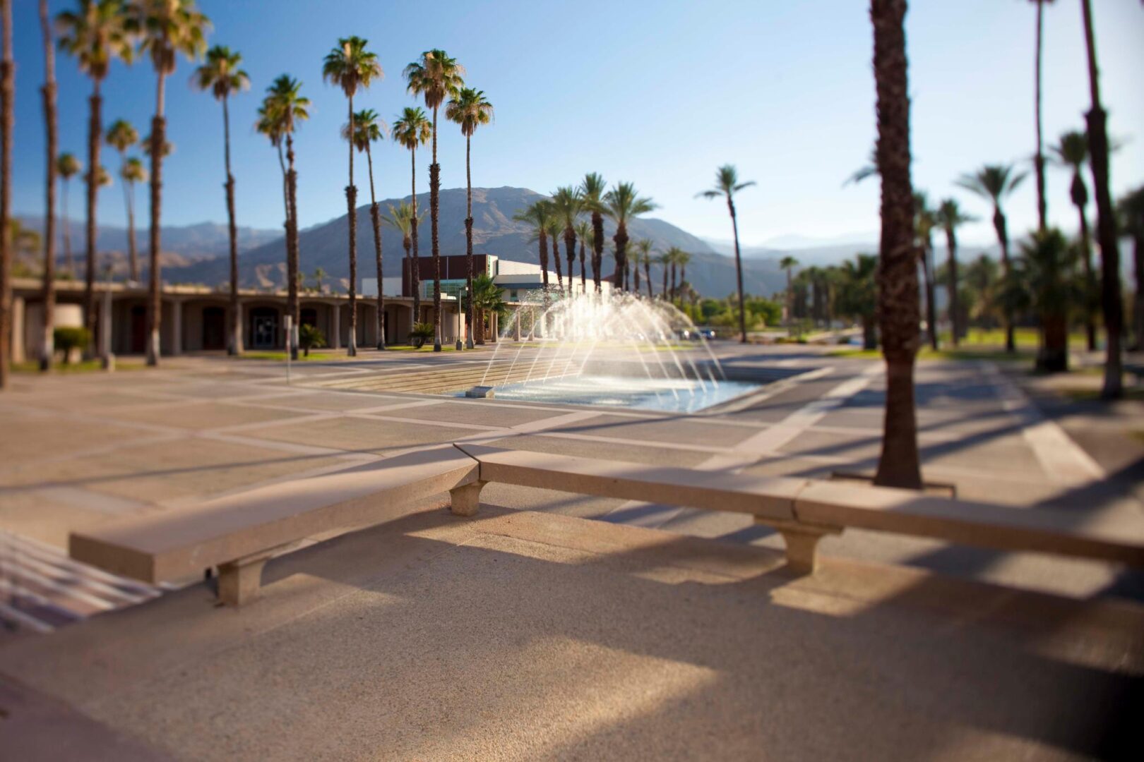 College of the Desert