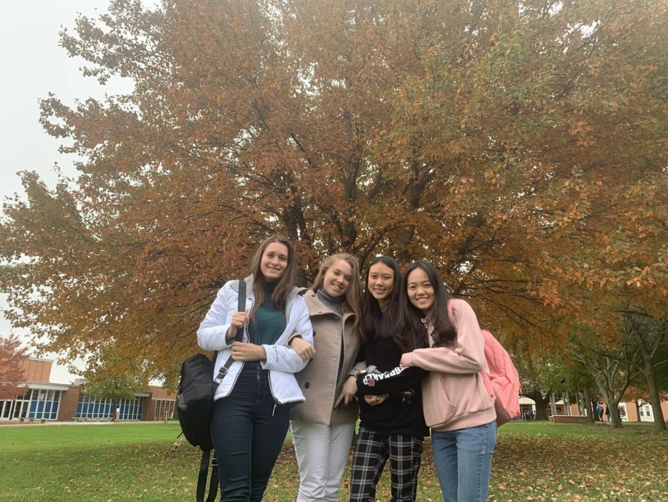 78144000 2696506883722007 3333565542832275456 o