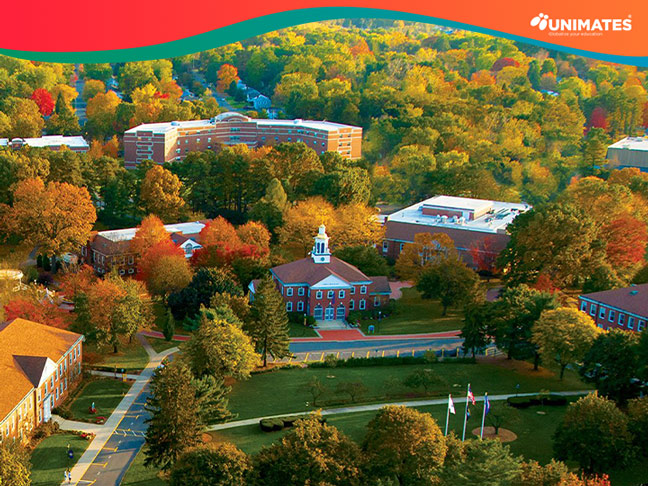 Western New England University 1 Western New England University