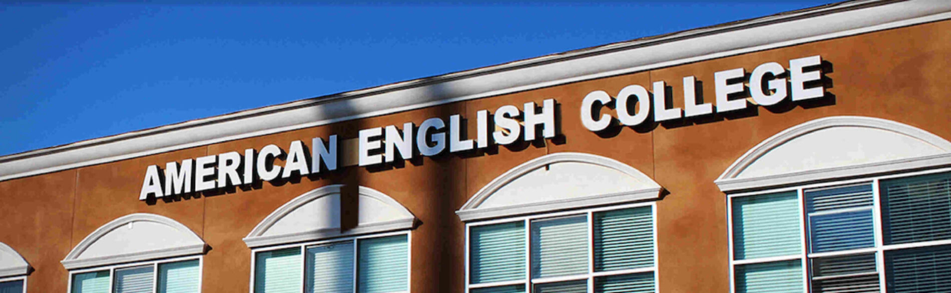 American English College