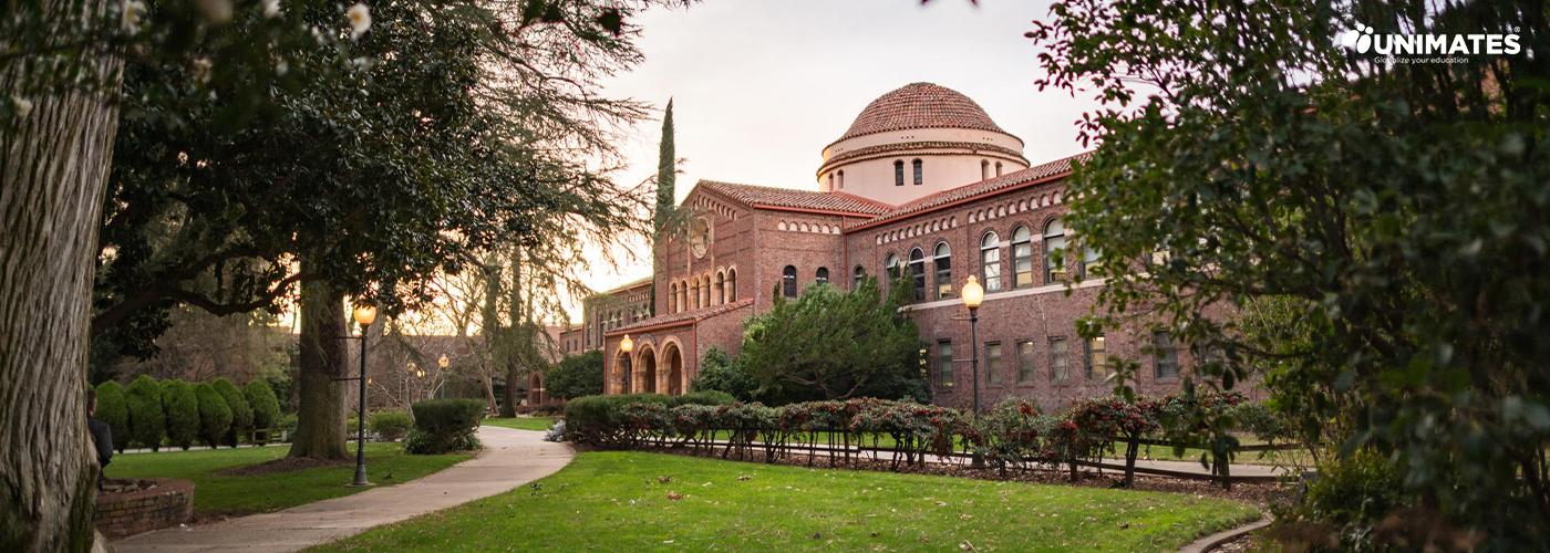 California State University, Chico