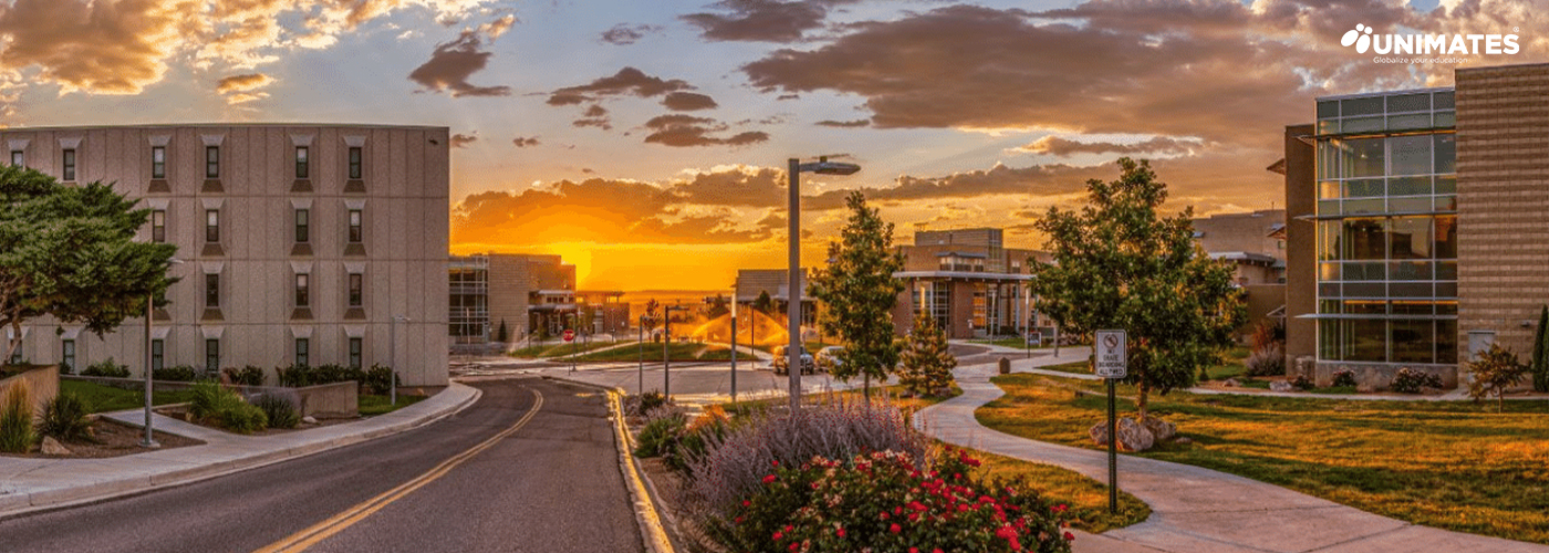 Colorado State University