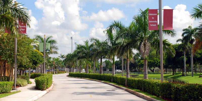 NSU University School