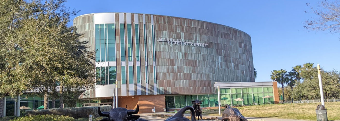 University of South Florida