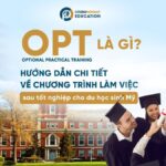 OPT là gì? Hướng dẫn toàn diện về chương trình OPT dành cho du học sinh Mỹ (2026)